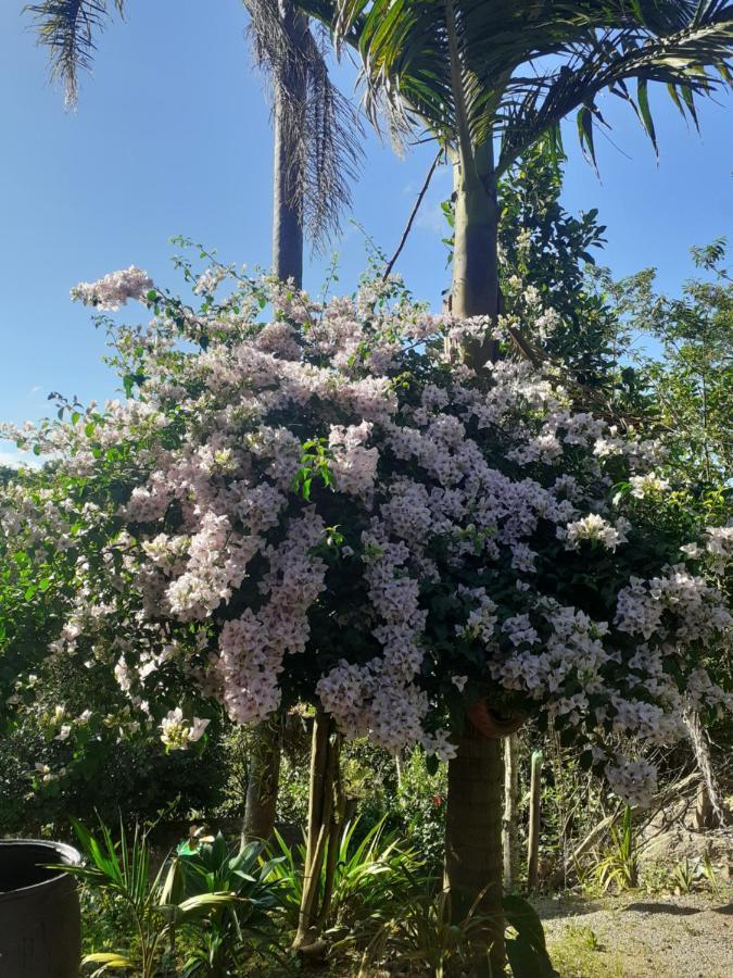 Chacara Cantinho Da Paz อีบิวนา ภายนอก รูปภาพ